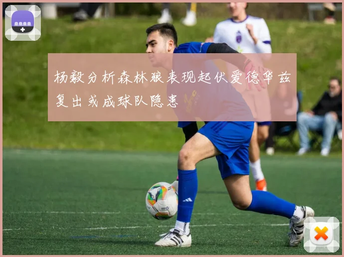 杨毅分析森林狼表现起伏爱德华兹复出或成球队隐患