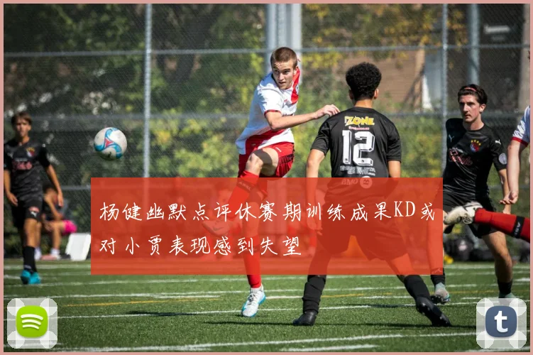 杨健幽默点评休赛期训练成果KD或对小贾表现感到失望