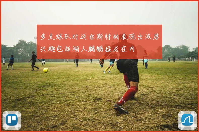 多支球队对迈尔斯特纳表现出浓厚兴趣包括湖人鹈鹕猛龙在内